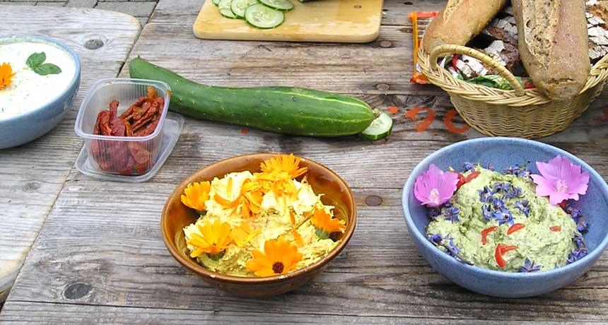 Gesunde Ernährung - Naturheilkunde Heilpraktikerin Tanja Richter, Seßlach Coburg