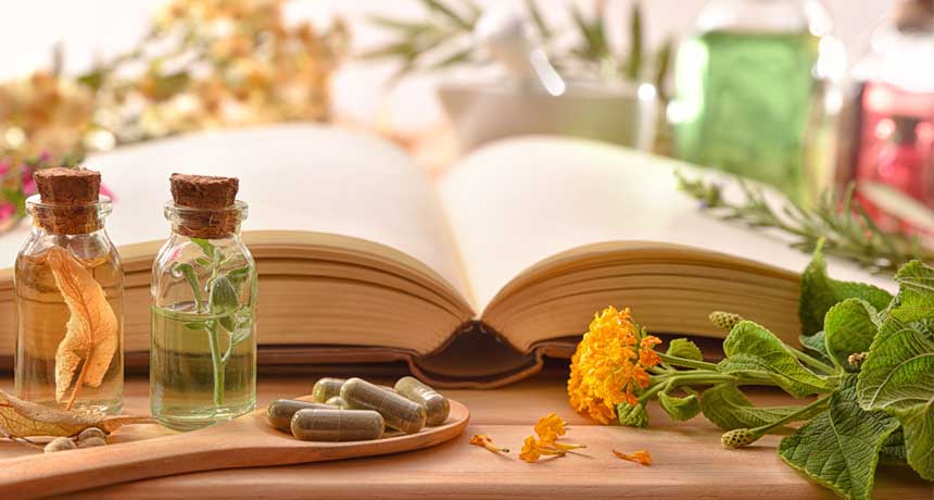 Pflanzenheilkunde, Phytotherapie - Naturheilkunde Heilpraktikerin Tanja Richter, Seßlach Coburg